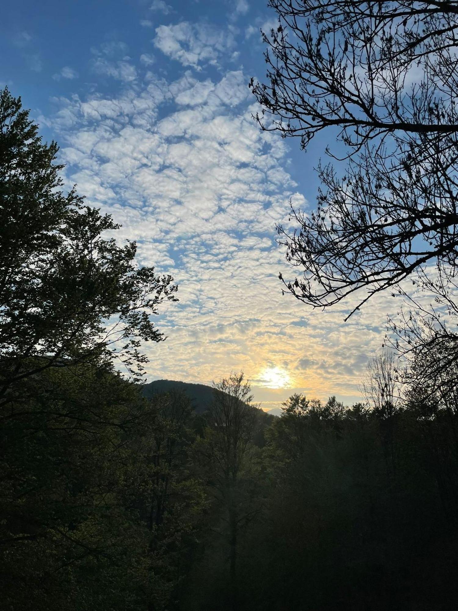 Giulio Mountain B&B 阿拉 外观 照片